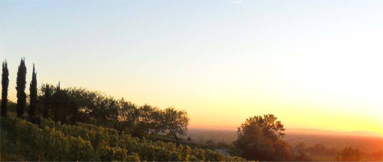 Tenuta la bandita