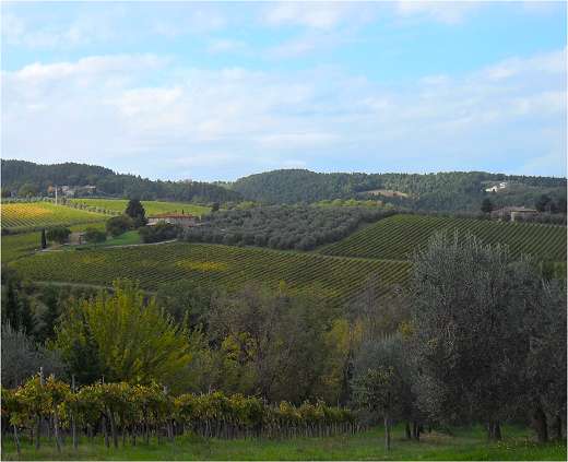 Greve in Chianti